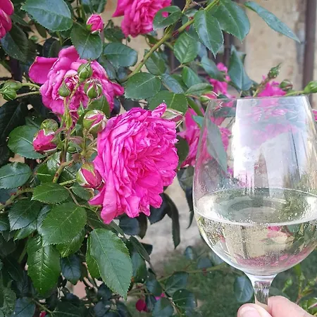 Casa de Férias Ospitalita La Rocca Chianti